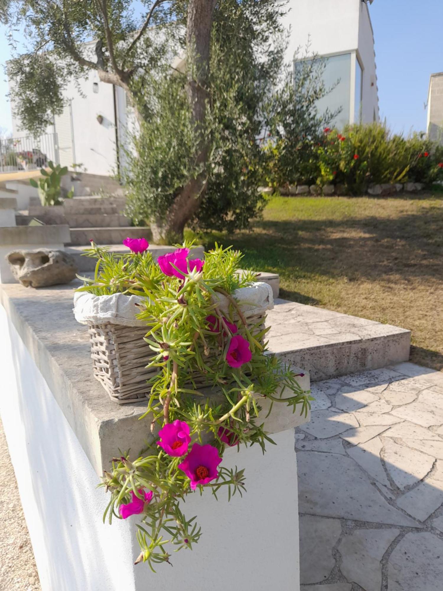 Tenuta Valle Dell Idro Otranto Con Piscina Casamassella Extérieur photo